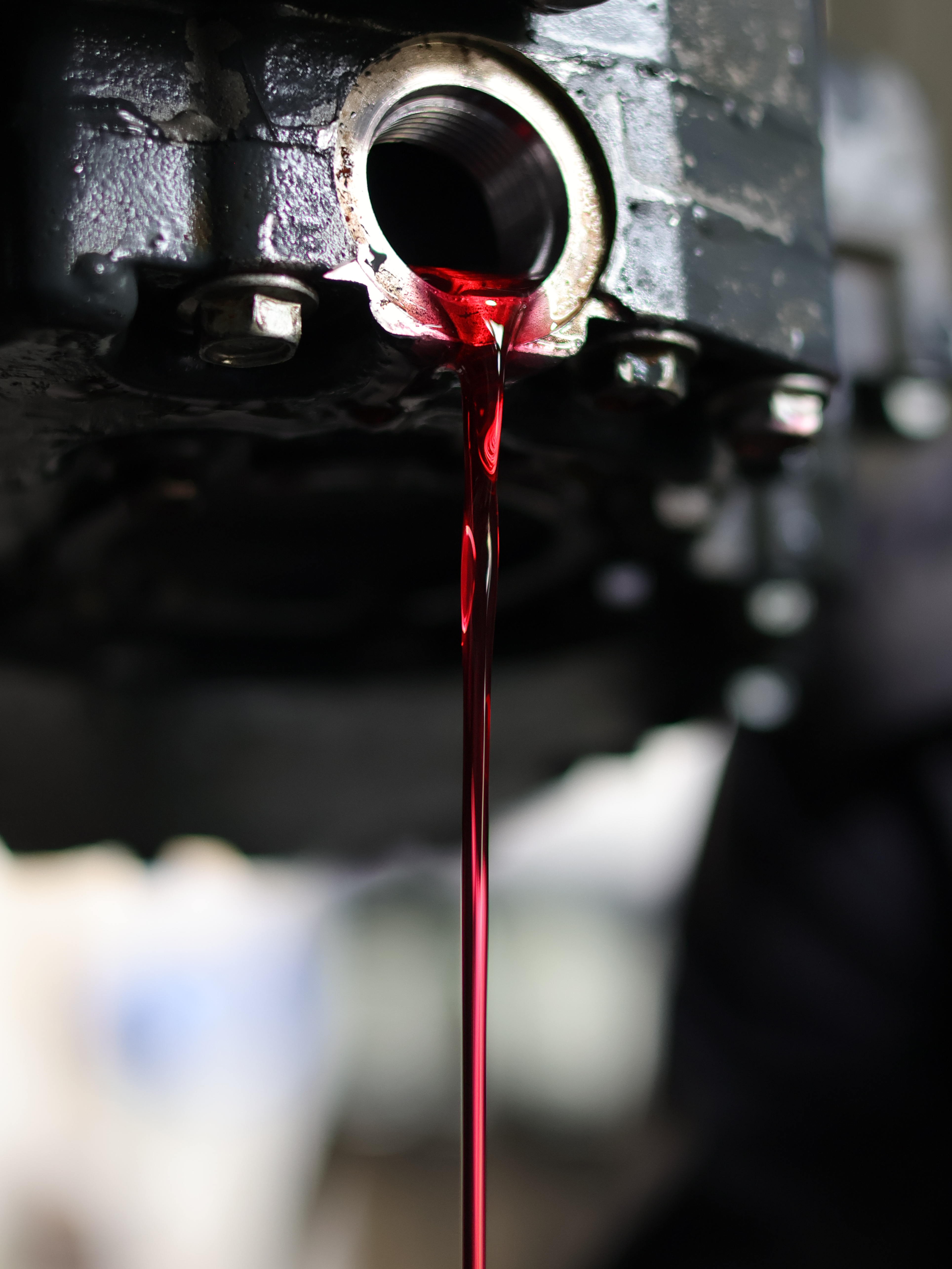 Total car care and maintenance